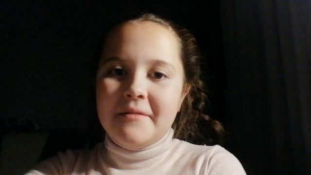 Ёркширский терер