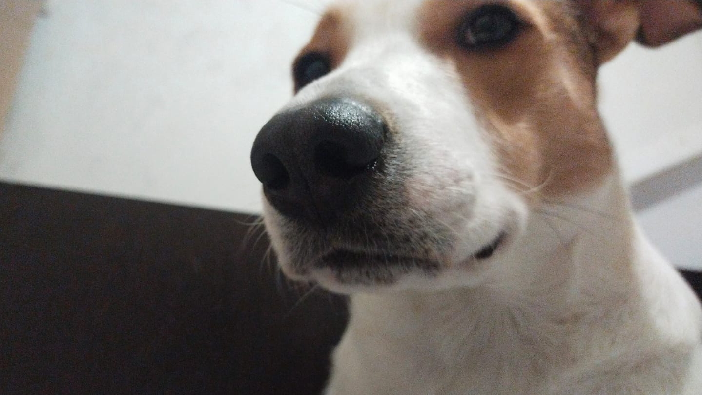 ❤