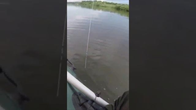 Спиннинг не выдержал, сломался при подсечке 😥

Чего только не случается на рыбалке.