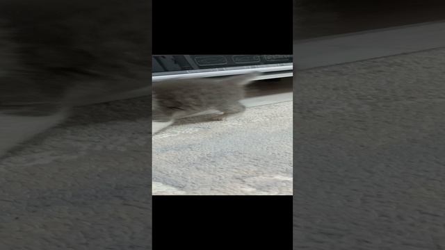1000549803.mp4