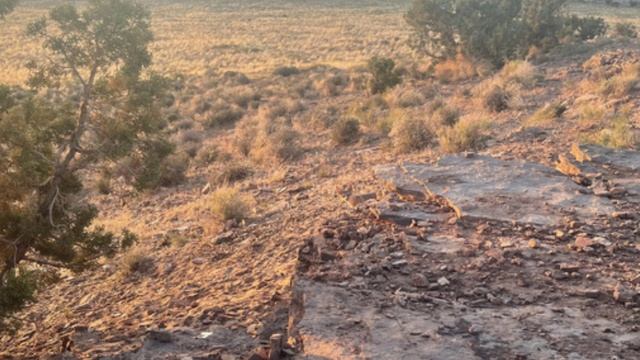 Только обладатели сканирующего зрения в силах разглядеть на этой фотографии лису!