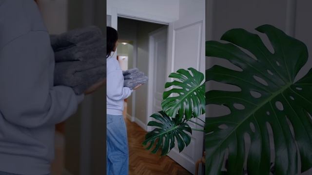 VID_20241207_210430_770.mp4