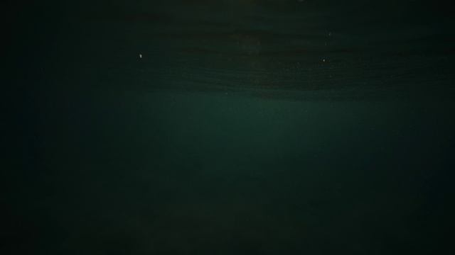 ﹤a href="https://www.freepik.com/free-video/bokeh-light-bubbles-reflect-ocean-water-surface-sunrise_