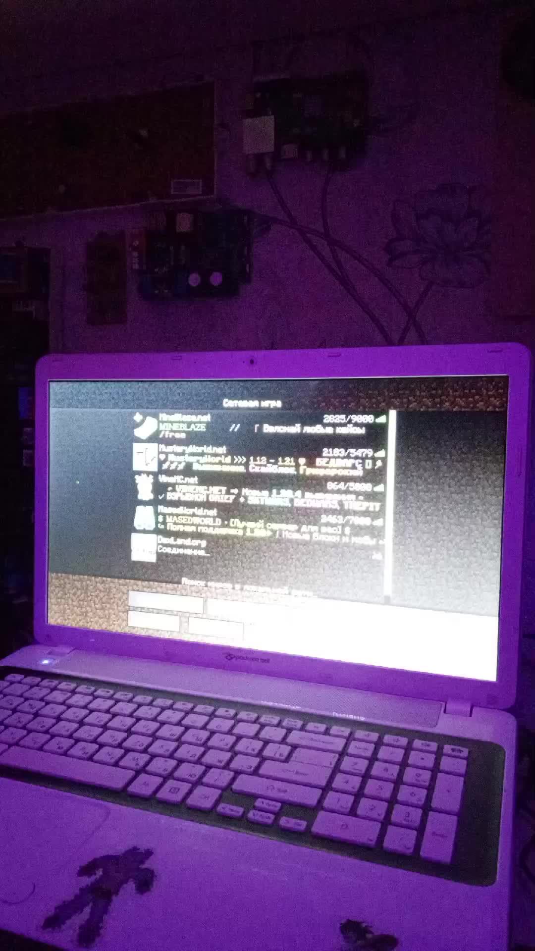 Minecraft