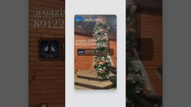 1733572965808.mp4