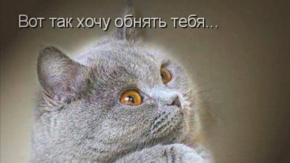 Я буду любить тебя нежно)))