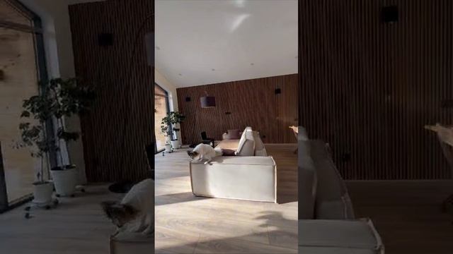 1000066110.mp4