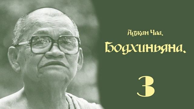 Аджан Чаа - Бодхиньяна. Часть 3.