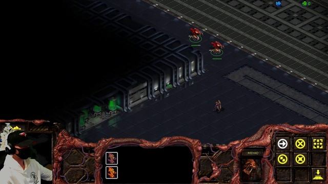StarCraft: Remastered / Компания Зергов  / Часть 2