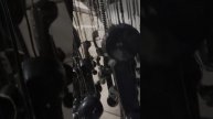 Отголоски жизни.