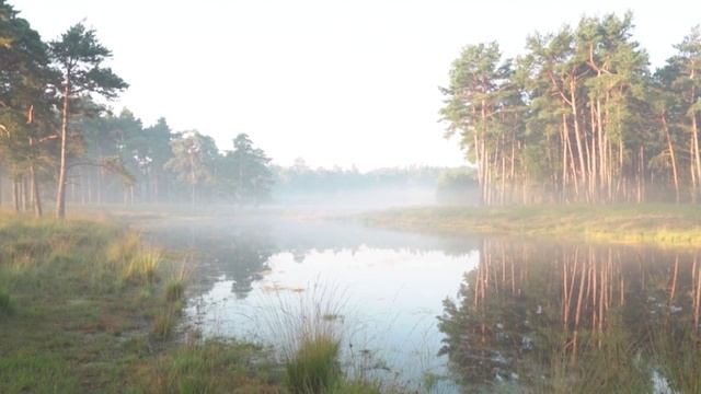 18. Не говори мне о напевах... Стихи А.Э Хаусмана иуз. Ю.Кискина