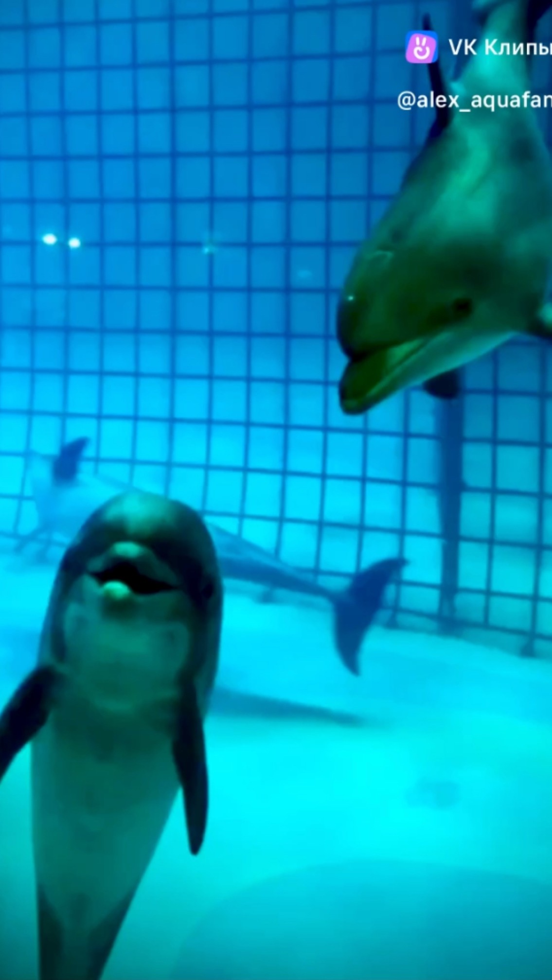 Рожденные в Москвариуме🤗