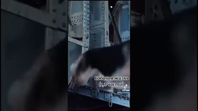 Посмотрите обязательно