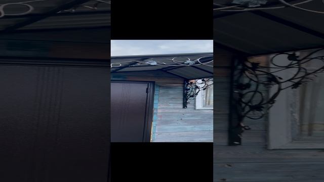 Козырёк рисунок растительный