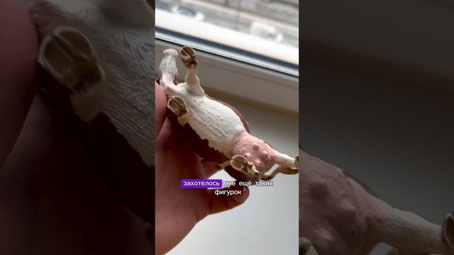 Откуда такая любовь к коровам? 😅