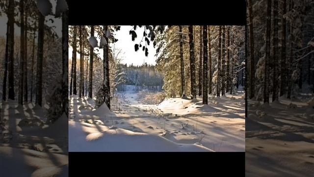 песнь Возрождения 800. Молитвенные 82-86