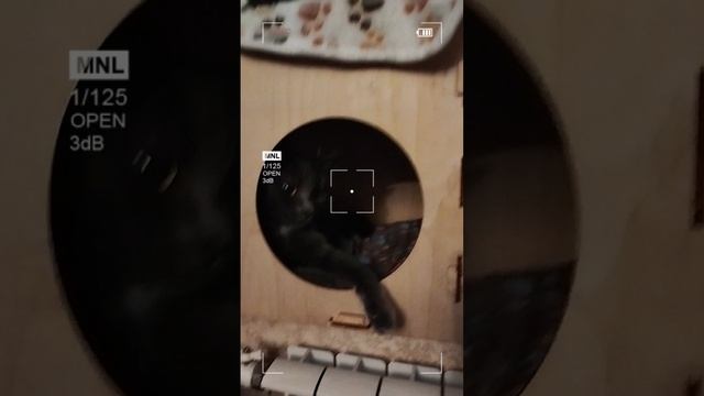 Домик