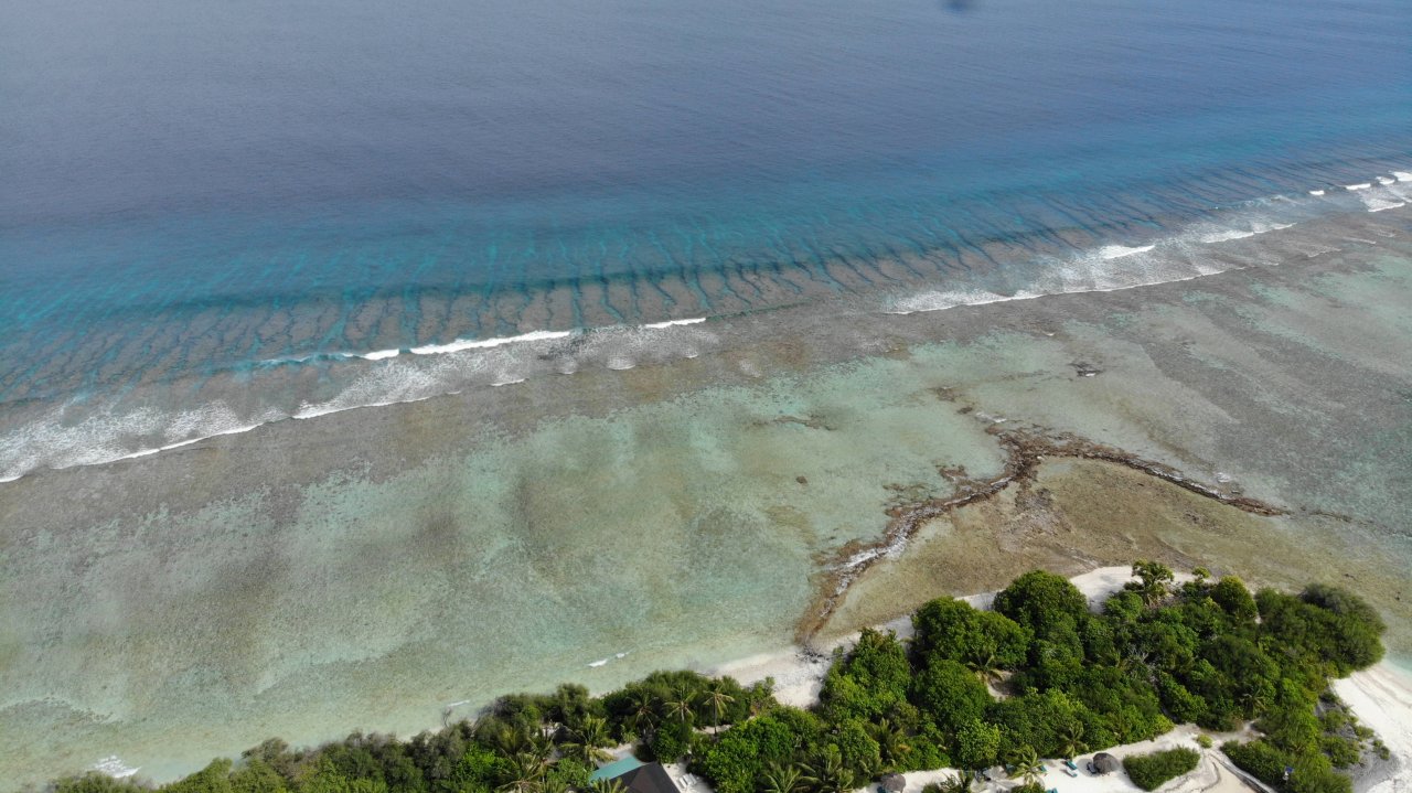 Canareef resort maldives