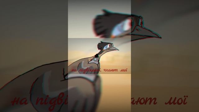 хризантеми, Я НЕ УКР просто песня Украинская.