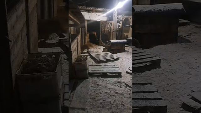 Вечерние игры