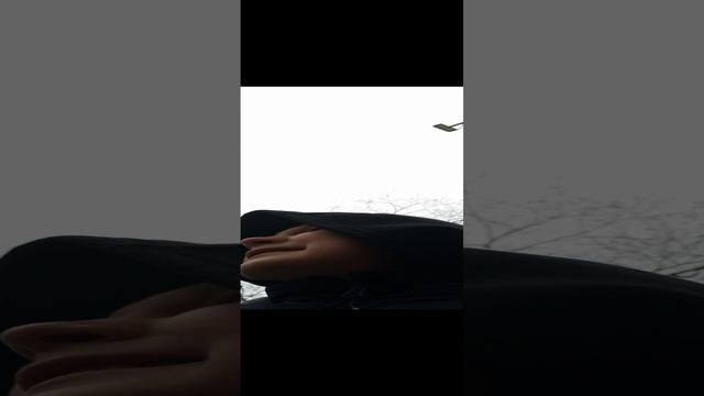 новость о роликах