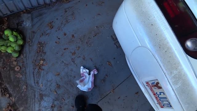 Нашли стволы и крутую спортивную тачку GT в брошенном контейнере.