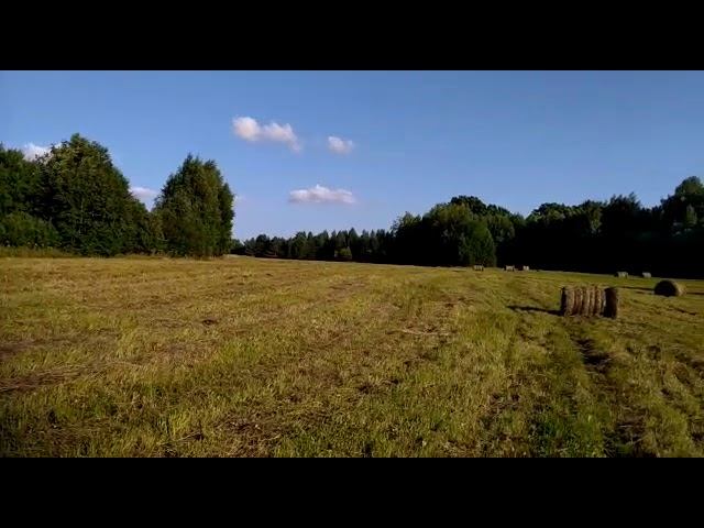 Первое сено