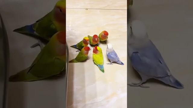 Тайное мировое правительство решает важные вопросы по текущей повестке дня