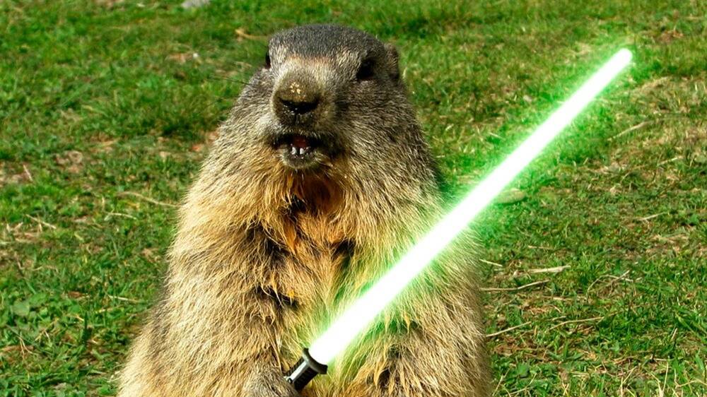 Вечерняя Dota с Бобром