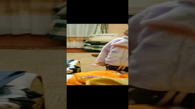 VID_20241207_175327.mp4