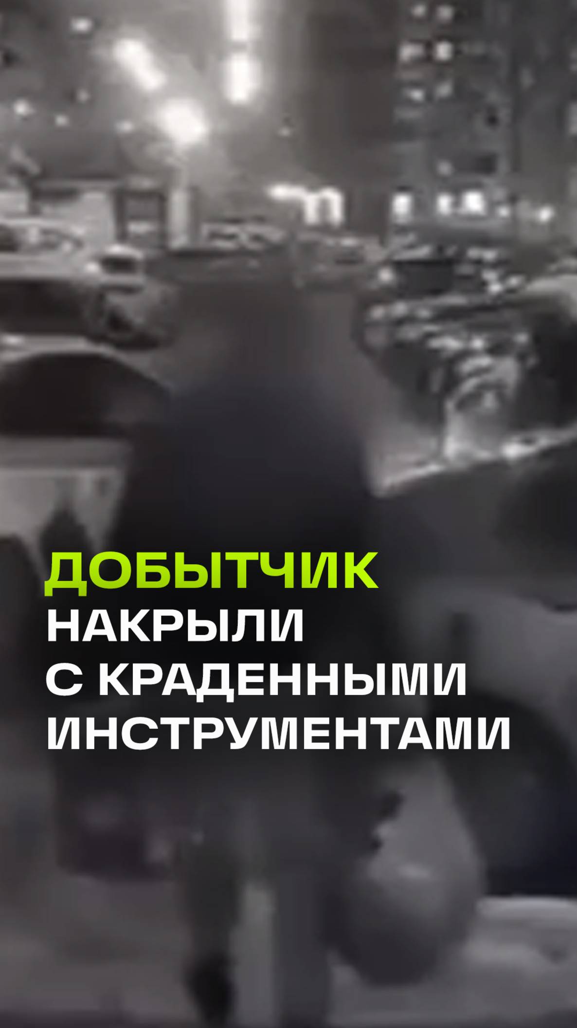 Настоящий добытчик: уволился с работы и украл все необходимое
