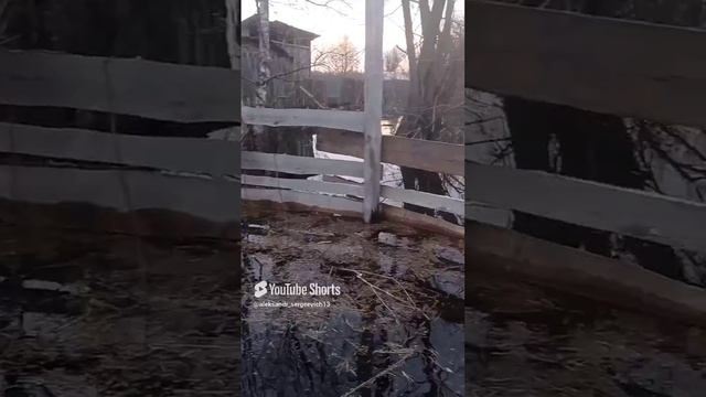 Прошлогодний временный бесплатный забор с калиткой