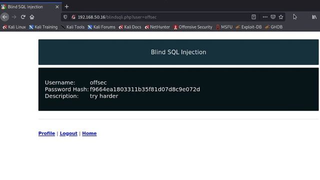 4.2.3. Blind SQL Injections