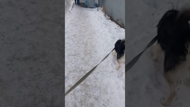lv_0_20241207214403.mp4