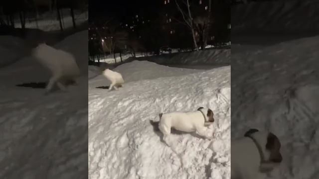 я в середине апреля