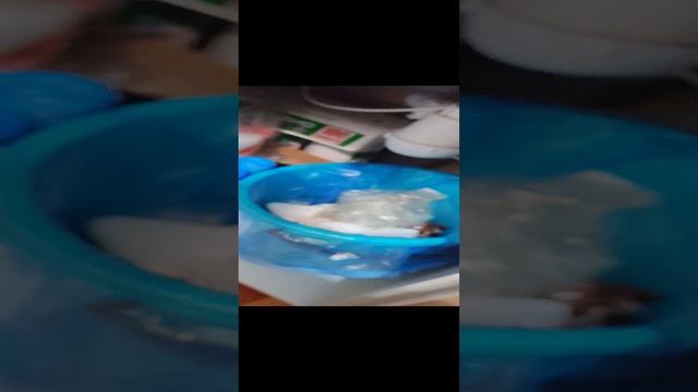 Полезно
Готово
Здрасте