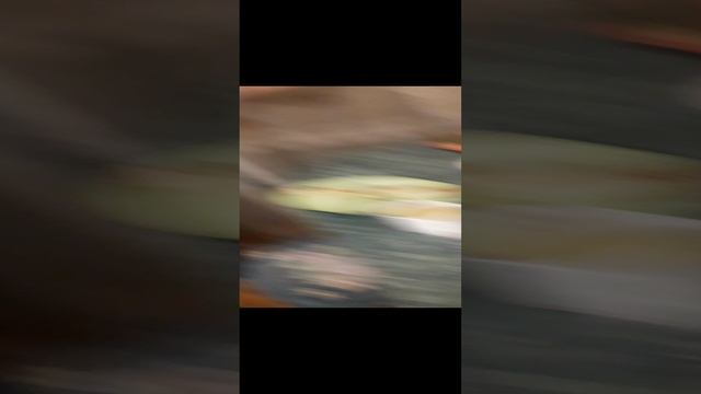 супер блины и салаты