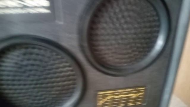 VID_20241207_130350