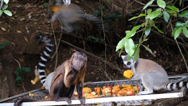 3765251-uhd_3840_2160_30fps