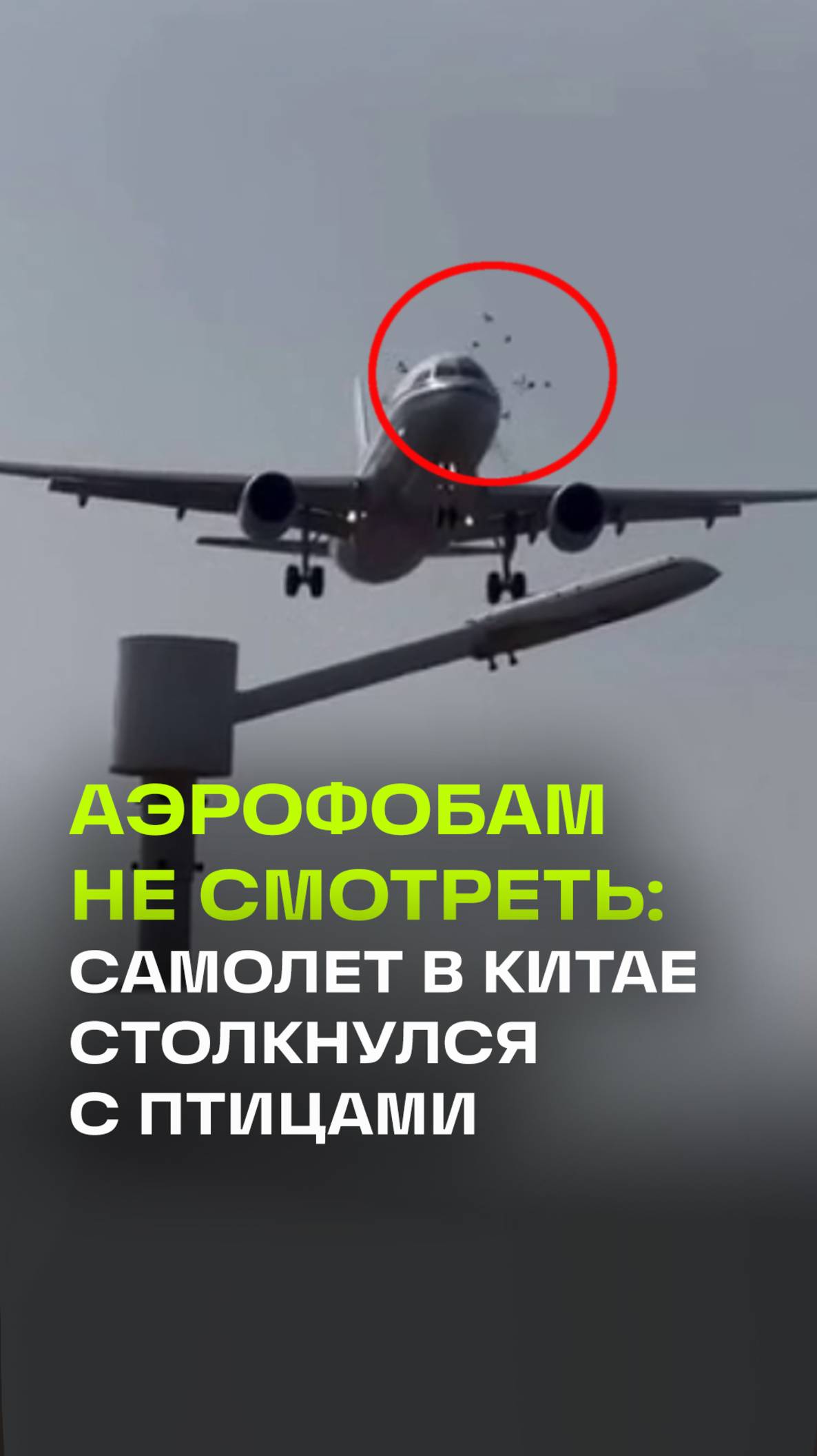 Самолет авиакомпании Air China «встретил» на своем пути птиц