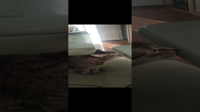 1000024308.mp4