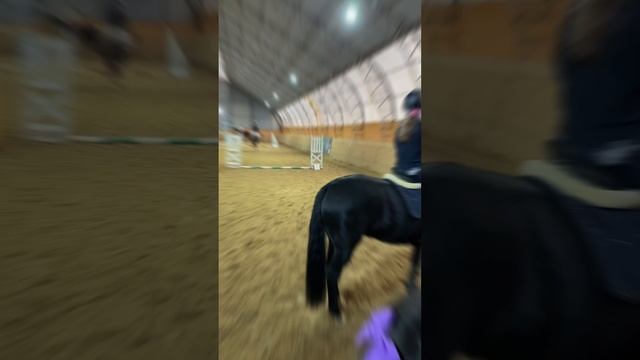 Новогодние соревнования по конкуру, верховая езда