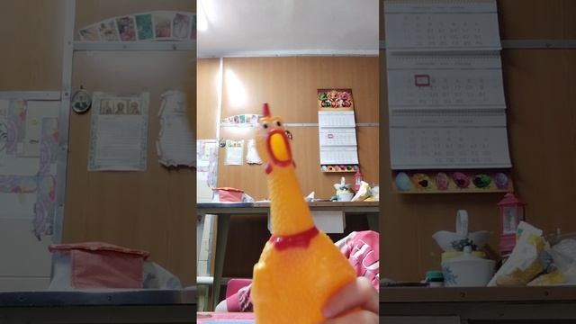 1000016216.mp4