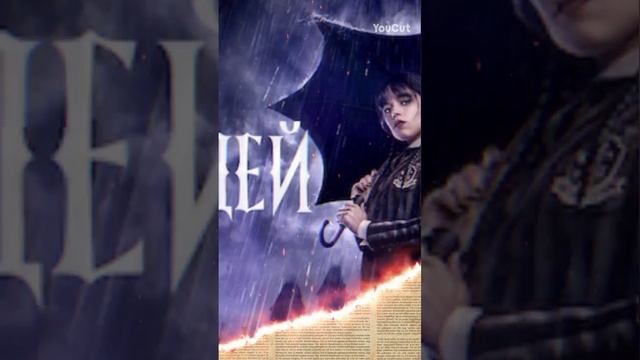 YouCut_20241207_130920396.mp4