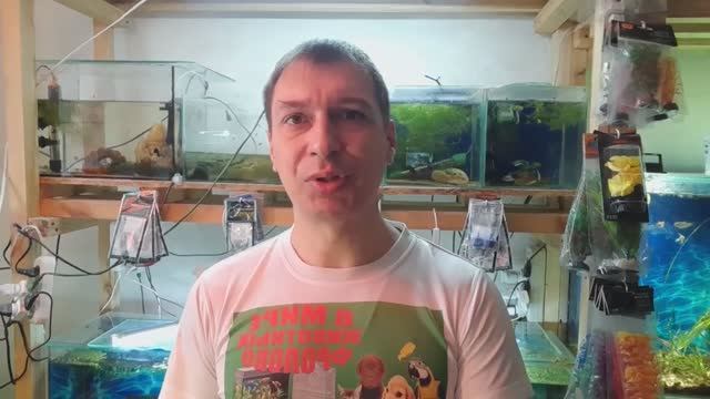 Быстрый запуск аквариума. Хочу здесь и сейчас!!!