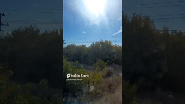 1000034765.mp4Р.Ж.Д.07.12.2024г.