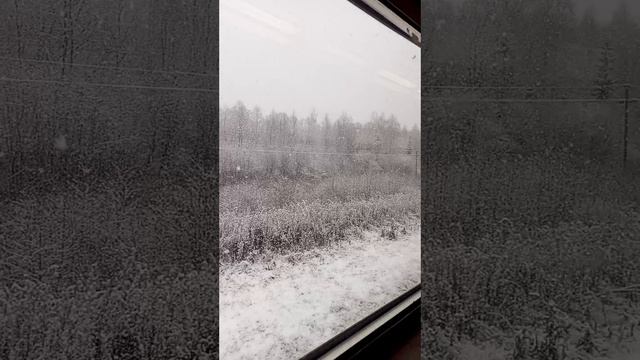 Первый снег.