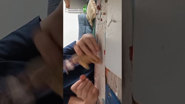 scene_output.mp4