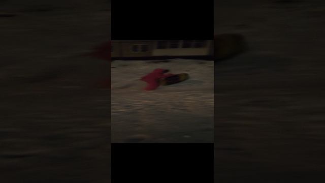VID_20241122_230653.mp4