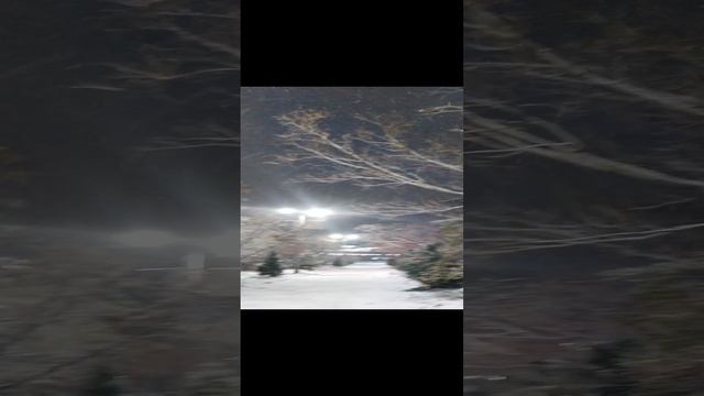 VID_20241014_193411.mp4 Елена Дружиненко Воркута
